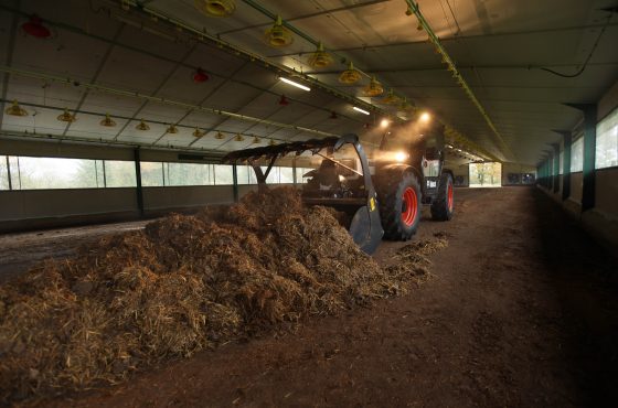 Аренда телескопического погрузчика Bobcat TL358